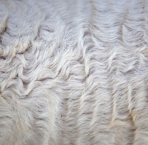 Prendas de lana vicuña